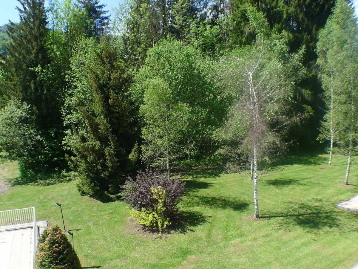 Studio Mansarde Avec Balcon, Piscine Et Parking Souterrain A Samoens - Fr-1-629-92 المظهر الخارجي الصورة