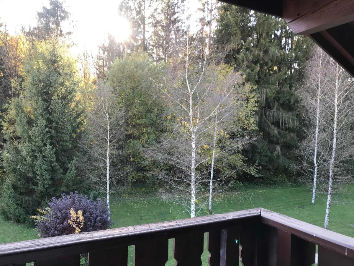 Studio Mansarde Avec Balcon, Piscine Et Parking Souterrain A Samoens - Fr-1-629-92 المظهر الخارجي الصورة